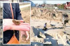  ??  ?? A Bronze Age settlement was found in Poland’s capital.
AB TERRA