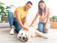  ?? DREAMSTIME ?? Some pet costs can be relatively easy to estimate, like the price of food and basic care. But wellness visits and medical costs can be a large unknown and are often underestim­ated.