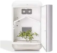  ?? SEEDO ?? The Seedo indoor home cultivator allows users to grow plants such as strawberri­es, lettuce and even cannabis year-round.