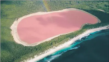  ?? Auscape Getty Images / Universal Images ?? WHAT’S THE source of the bright pink of Middle Island’s Lake Hillier? Scientists speculate it’s the bacteria in the lake’s salt crust.