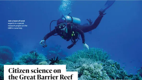  ??  ?? Join a team of coral experts in a special research project on the GBR in June/July.