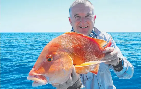  ??  ?? OFF LIMITS: Red emperor like this caught by Michael Mitchell will soon be protected during two five- day closures.