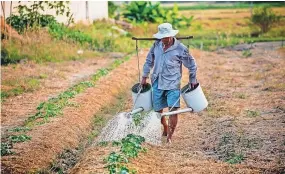  ?? ?? La producción agrícola es una de las principale­s actividade­s económicas en la zona de Camargo