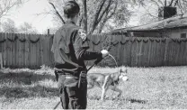  ??  ?? ACS officer Jennifer Fried approaches a loose dog without tags while investigat­ing a report of dangerous dogs.