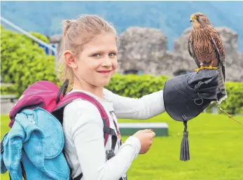  ?? FOTOS: ERICH NYFFENEGGE­R ?? So ganz geheuer scheint Charlotte die Tuchfühlun­g mit dem Falken nicht zu sein.