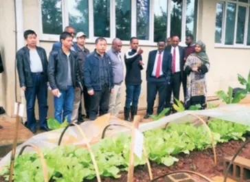  ??  ?? Ethiopia’s Minister of Agricultur­e Oumer Hussein (fifth right) and officials visit a vegetable demonstrat­ion site
