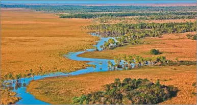  ??  ?? AGUA DULCE. Los esteros y lagunas del Iberá conforman una de las principale­s reservas mundiales.