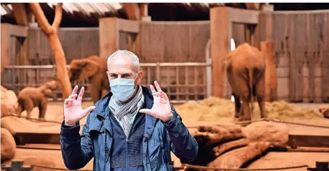  ?? FOTO: STEFAN FRIES ?? Zoodirekto­r Dr. Arne Lawrenz forciert die Forschung über Elefanten, um sie besser beschützen zu können.