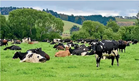  ??  ?? Farms need to know their greenhouse gas numbers by the end of 2022 if they are 80ha or more, or have a dairy supply number, or are a cattle feedlot as defined in freshwater policy.