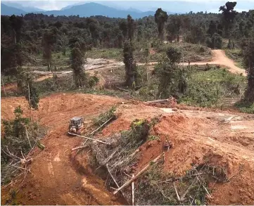  ??  ?? A photo sent by BMF allegedly of the 4,400-hectare oil palm developmen­t in the rainforest near Ukau’s village.