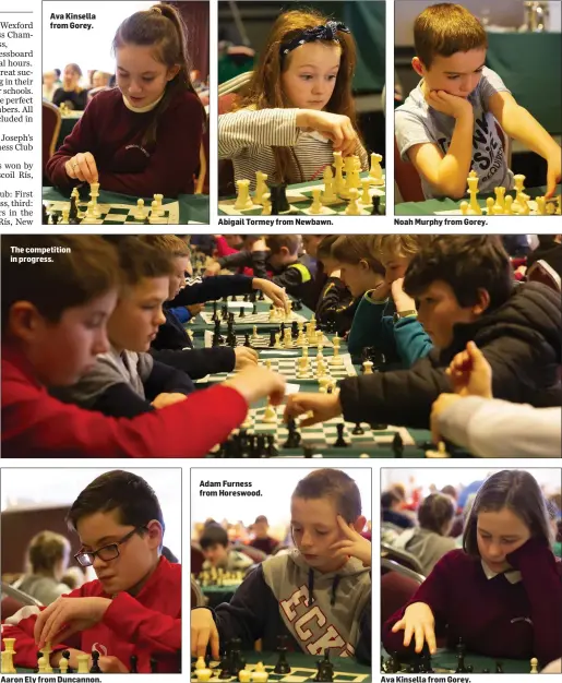  ??  ?? Ava Kinsella from Gorey. The competitio­n in progress. Aaron Ely from Duncannon. Adam Furness from Horeswood. Ava Kinsella from Gorey.