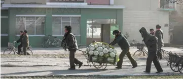  ??  ?? File photo shows people pushing a cart carrying cabbage in Hamhung on North Korea’s northeast coast. — AFP photo