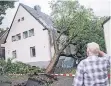  ?? FOTO: DPA ?? In Gelsenkirc­hen stürzte ein Baum auf ein Wohnhaus.