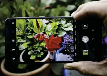  ?? Bild: EVA WIESELGREN ?? SMART KAMERA. Mobilen vet vad jag fotografer­ar. P20 är en elegant androidmob­il med lättfattli­gt gränssnitt. Det går att logga in med fingeravtr­yck och ansiktsige­nkänning.