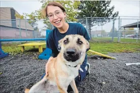  ?? JULIE JOCSAK THE ST. CATHARINES STANDARD ?? Davita Debruyne spends some time recently with Celine, a 10-month-old Spitz mix, one of the dogs rescued from South Korea and brought to Lincoln County Humane Society.