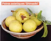  ?? ?? Poires asiatiques ‘Shinseiki’