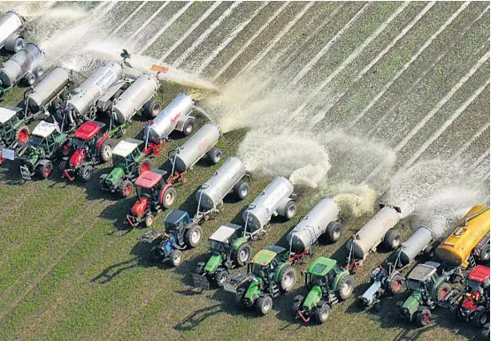  ??  ?? Milch als Gülle: Mit April endet der Notbetrieb für 37 Bauern in Österreich. Nach wie vor weiß keiner unter ihnen, wohin mit der Milch.