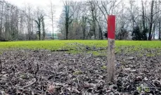  ?? FOTO: RAS ?? Am Rand dieser Wiese neben dem Parkplatz zum Freizeitge­lände Manzell soll ein Retentions­filter eingebaut werden, weswegen die Bäume gefällt werden mussten.