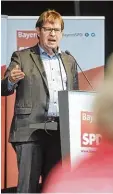  ?? Foto: A. Brücken ?? SPD Parteivize Ralf Stegner beim Fami lienfest in Neu Ulm.