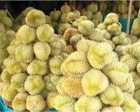  ??  ?? Durian has a ready market abroad but local production must be enhanced.
