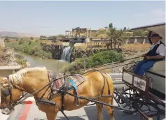  ?? (Dorit Ritvo) ?? A HORSE-DRAWN carriage takes visitors through Naharayim Park.