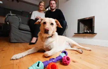  ??  ?? MEGA BITE: Sandy the Labrador plays with Lauren and James McIlvenna’s new interactiv­e dog toy. Photo Conor McCabe