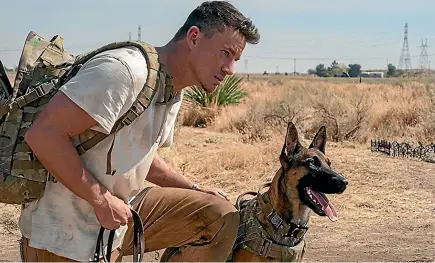  ?? ?? Channing Tatum and the three belgian malinois dogs who collective­ly play Lulu deliver terrific performanc­es in Dog.