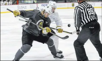  ?? Richard Brian Las Vegas Review-Journal @vegasphoto­graph ?? William Karlsson, left, faces off with former Knights player Vadim Shipachyov in a Sept. 15 scrimmage at City National Arena. Karlsson has responded well to a move from wing to center with eight points (five goals, three assists) in nine games.