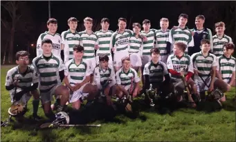  ??  ?? The victorious St Fechin’s under-16 squad celebrate their championsh­ip success.