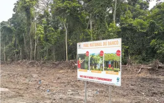  ?? AFP ?? A nivel mundial se vive una fuerte deforestac­ión de bosques