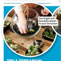  ??  ?? Use bright and beautiful plants in your terrarium