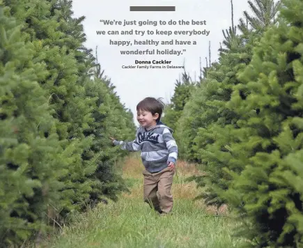  ?? GAELEN MORSE/COLUMBUS DISPATCH ?? Tyler Tiigner, 3, of Grove City plays among the rows of pine trees at Cackler Family Farms.