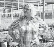  ?? JEFFEREE WOO Tampa Bay Times/TNS ?? Sarah Laroque, president and CEO of EarthBalan­ce, gives a tour of the company’s greenhouse, where beach plants grow, in Arcadia.