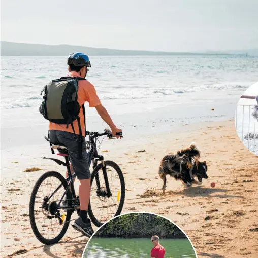 ?? Photos / 123rf; Supplied ?? Never leave Fido behind again; the Long Dog Cafe on St. Clair Beach, Dunedin (below); Dogs are welcome on a giant SUP from Moana Paddle Nelson (below left).
