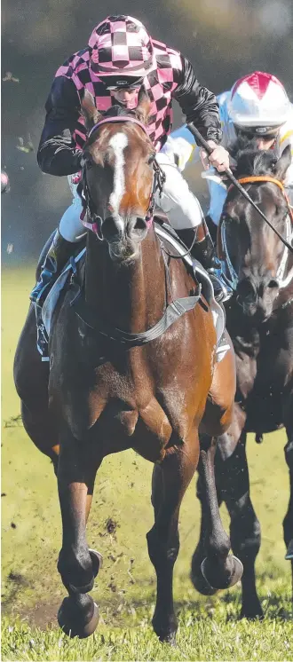  ?? Photo: Getty Images ?? Rothfire wins the Run To The Rose at his Sydney debut.