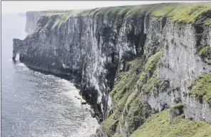  ?? PICTURE: NEIL SILK. ?? PLANS ROW: The cliffs at Bempton looking towards Flamboroug­h Head.