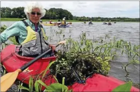  ?? FILE PHOTO ?? Paddlers of canoes and kayaks can help this year’s effort to remove invasive water chestnut plants from the floating meadows with the Jonah Center of Middletown.