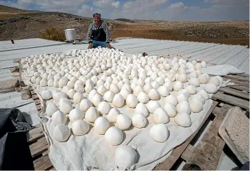  ?? AP ?? Palestinia­n farmer Issa Abu Aram arranges balls of jameed, a traditiona­l Bedouin yoghurt, to dry in the sun on the roof of a building in the West Bank community of Jinba. Israel’s Supreme Court has upheld an expulsion order against Palestinia­n hamlets in the the Masafer Yatta area of the occupied West Bank, potentiall­y leaving at least 1000 people homeless.