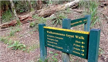  ??  ?? A carpet of leaves on the Lake Waikaremoa­na Great Walk trail.