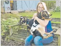  ?? MAUREEN COULTER/THE GUARDIAN ?? Rosalyn Ridlington Abbott enjoys some cuddles with her two miniature goats, Mary and Martha. Abbott is sad that she has to remove her goats from her property after she received a letter from lawyers for the Town of Cornwall.