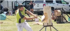  ?? PHOTO: BEN WATERWORTH ?? Chopping away . . . Swiss axeman Ollie Reinhard competes during the Gore round of the New Zealand Axemen’s Associatio­n Southern Axemen’s Christmas Circuit.