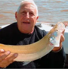  ??  ?? Tomás Restano, pionero de la pesca con señuelos desde embarcació­n en la Argentina, y su pejerrey récord.