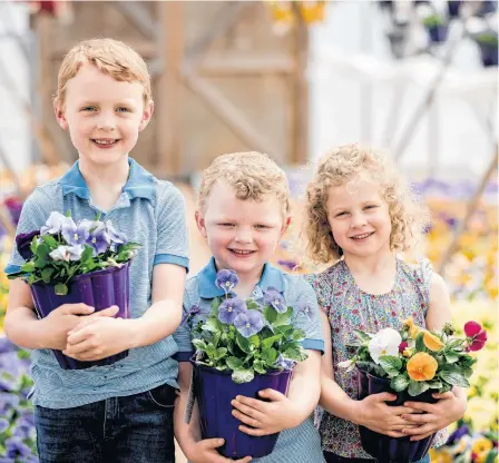  ??  ?? Ryder Butler, Wyatt Butler and Emily King show off some of the flowers at Bickerstaf­fe Nurseries in Portugal Cover-st. Philips. The family business, started by their grandparen­ts Ian and Peggy Mcdonald, has been a local grower for Dominion garden centres across the province for the past 25 years.