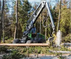  ?? Foto: Waldbesitz­ervereinig­ung ?? Ein Holzvoller­nter im Einsatz im Mühlbergho­lz an der Landkreisg­renze bei Egweil. Dort wird Käferholz schnell und schonend entfernt.