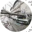  ?? Ansa ?? 120 crolli nel 2018
Gli alberi cadono appena piove un po’: nell’immagine via del Porto Fluviale l’8 aprile