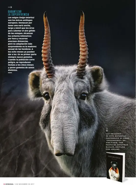  ??  ?? LAS IMÁGENES DE ESTE REPORTAJE PERTENECEN AL LIBRO 'ENDANGERED', DE TIM FLACH, CON TEXTO DE JONATHAN BAILLIE, EDITADO POR ABRAMS.