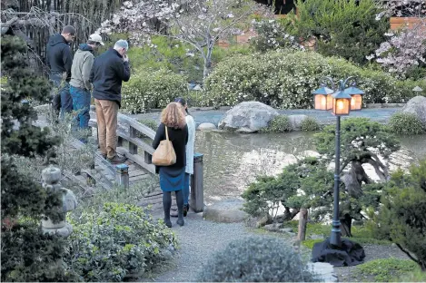  ?? NHAT V. MEYER/STAFF ARCHIVES ?? Hakone Gardens’ Moon Bridge and its views of the Key Pond are always popular with visitors, but especially so during “Hanami at Hakone,” the night cherry blossom viewing is held each year in early spring.