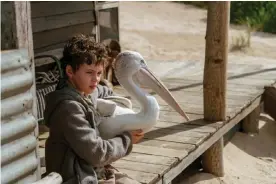  ?? Photograph: Matt Nettheim/Stormy Production­s ?? Great presence: Finn Little in the remake of the beloved Australian film Storm Boy.