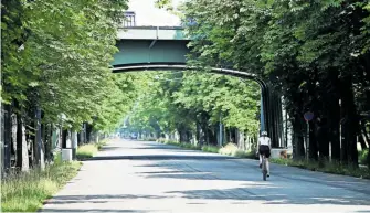  ?? [Clemens Fabry] ?? Die Straßenbah­nlinie 18 soll bis Herbst 2026 die Prater Hauptallee queren.