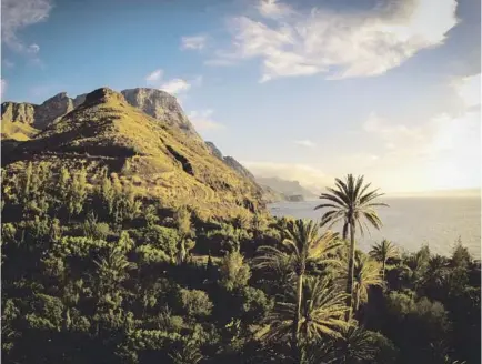  ??  ?? Gran Canaria esconde tesoros como las calderas y barrancos de Tejeda y el paraje protegido de Guayedra, que descubrire­mos internándo­nos en la isla.